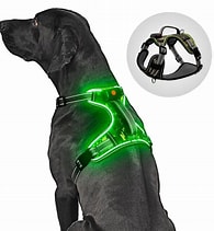 Light Up Led Dog Harness Rechargeable Adjustable Soft Mesh for Night Walking