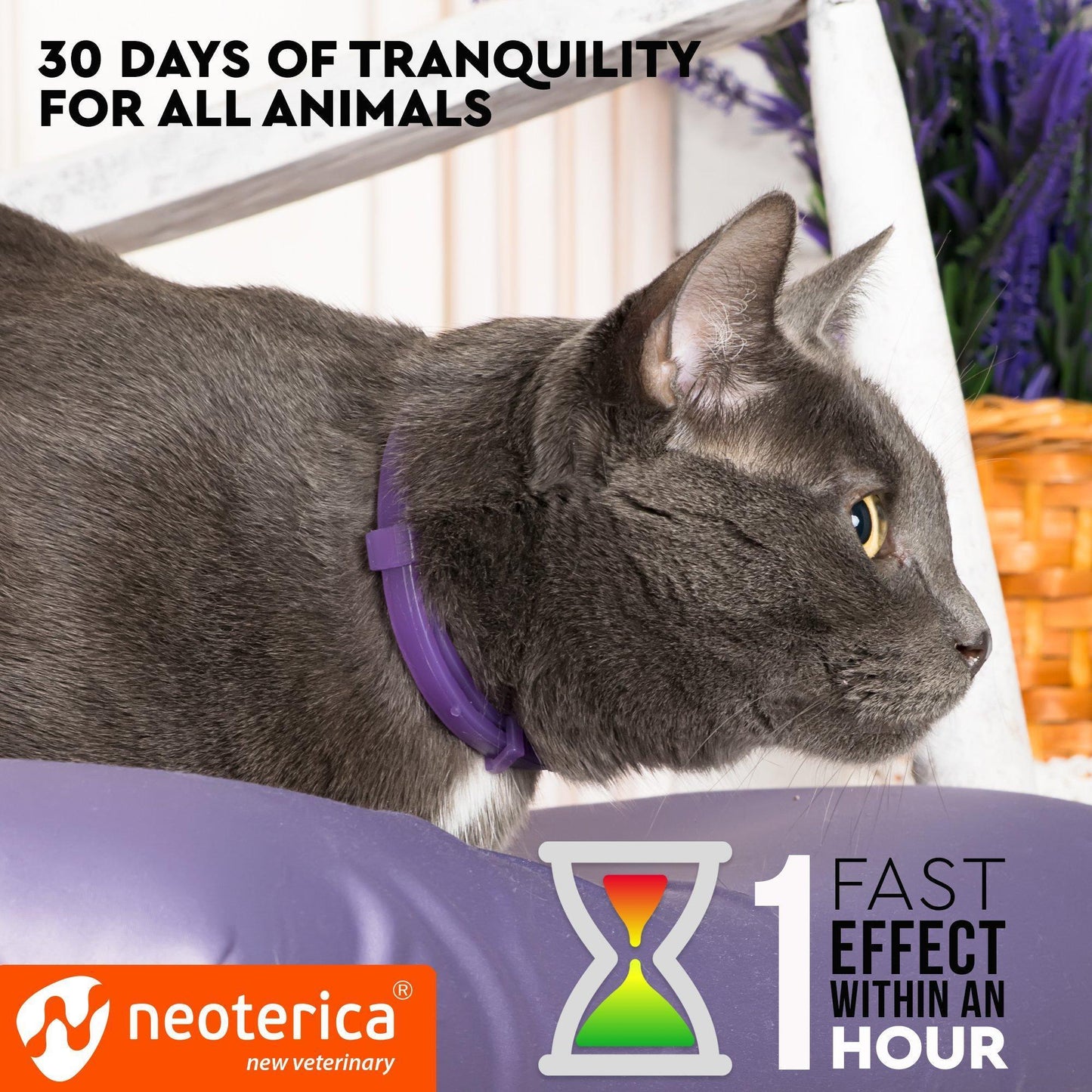 Soothing Cat Calming Pheromone Collar