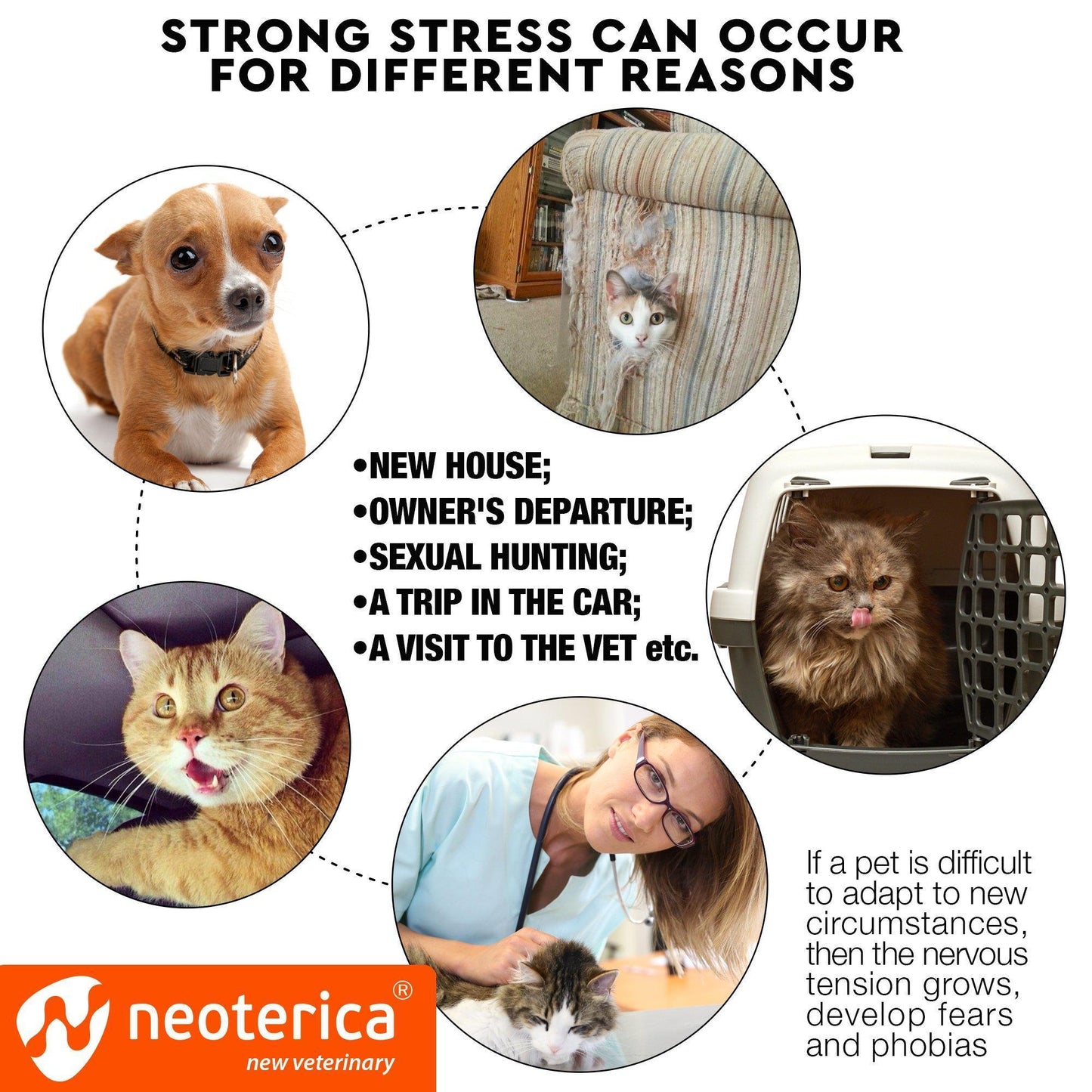 Soothing Cat Calming Pheromone Collar